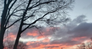 Beautiful winter sunrise with bare tree branches