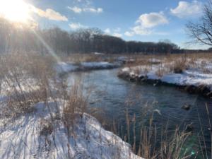Beautiful winter river with snowy banks and sunshine