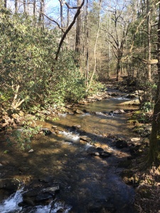 A babbling brook in winter